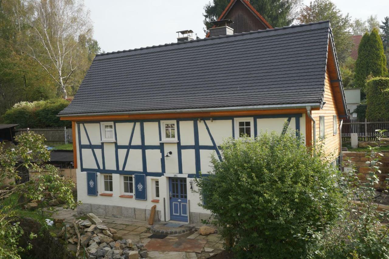 Willa Goldbachhaeuschen Olbersdorf Zewnętrze zdjęcie