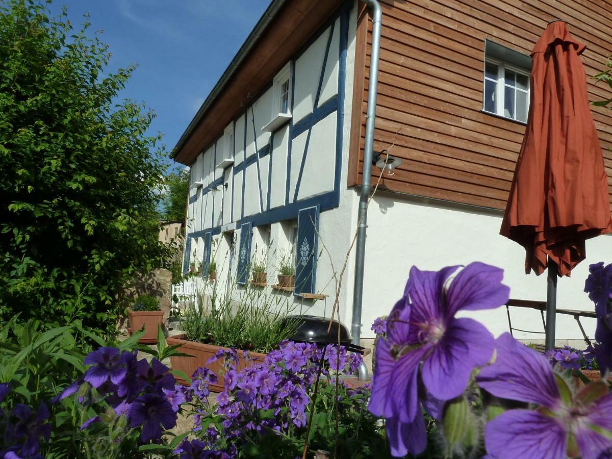 Willa Goldbachhaeuschen Olbersdorf Zewnętrze zdjęcie