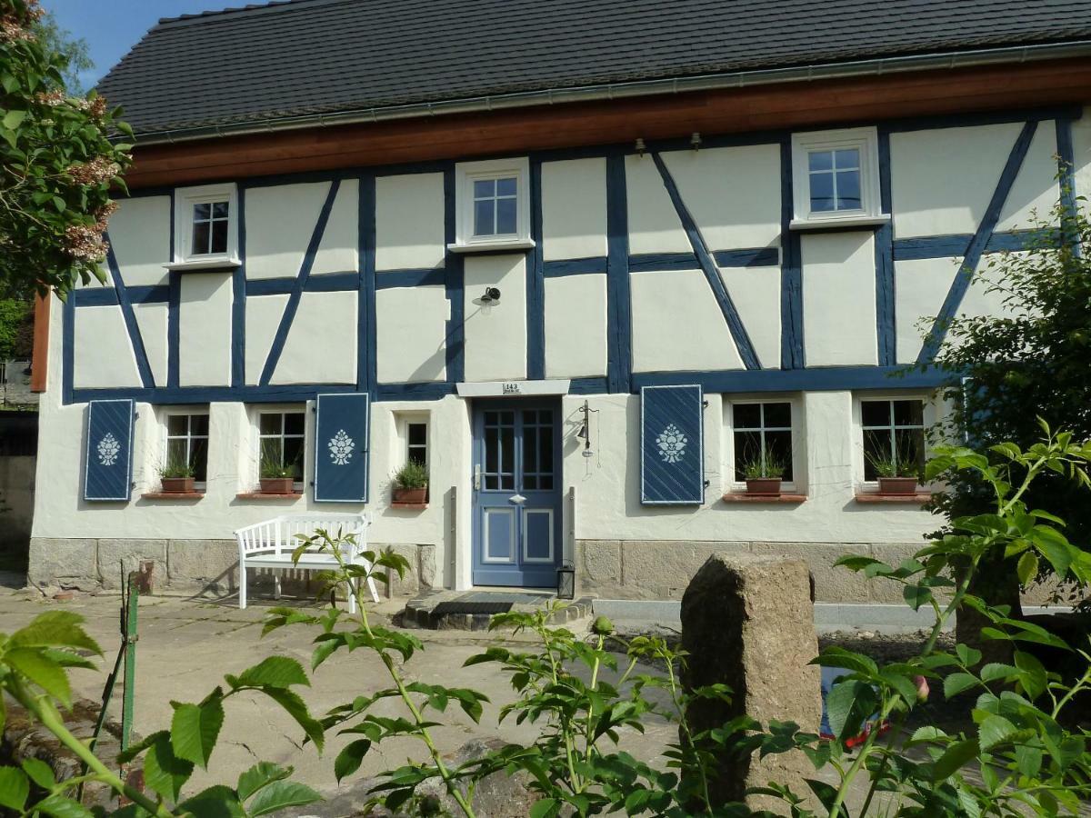 Willa Goldbachhaeuschen Olbersdorf Zewnętrze zdjęcie